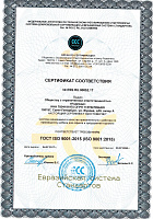  ESS.RU.00852.17  1